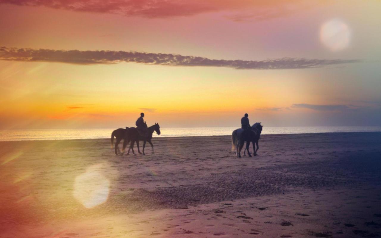 Blue Wave Lodge Agadir n'Ait Sa Luaran gambar